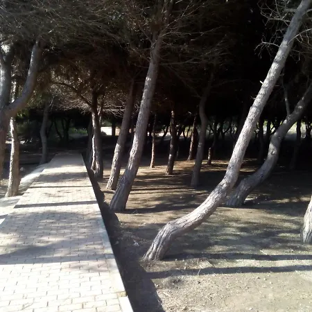 Appartement La Mata Cabo Cervera *